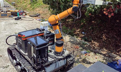 机器人快采荔枝将在广州上演！“天地一体化”荔枝智慧果园
